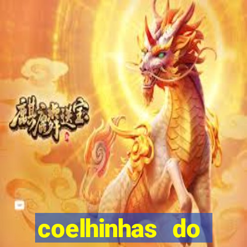 coelhinhas do brasil site